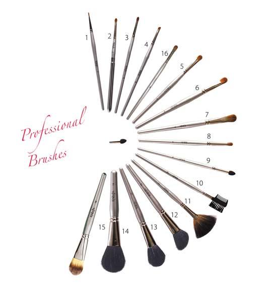 Professional Brush Set