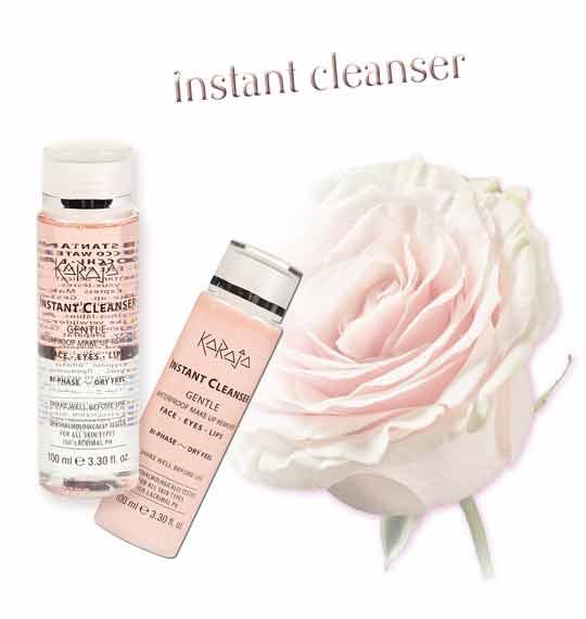 Skin Instant Cleanser